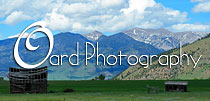 Oard Photography